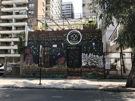 Magnolia Bar