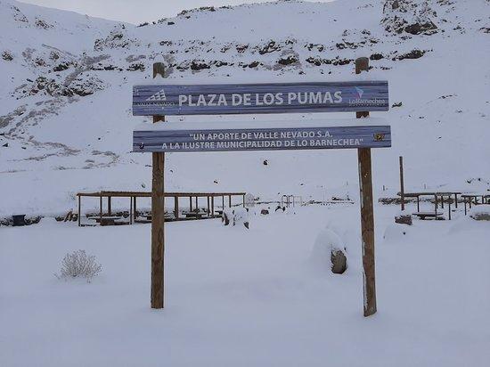 Plaza de los Pumas