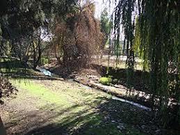 Canal Ortuzano